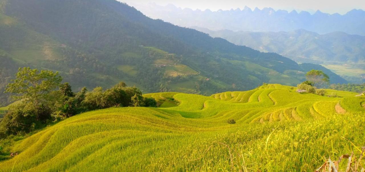 Central Backpackers Hostel Ha Giang Extérieur photo